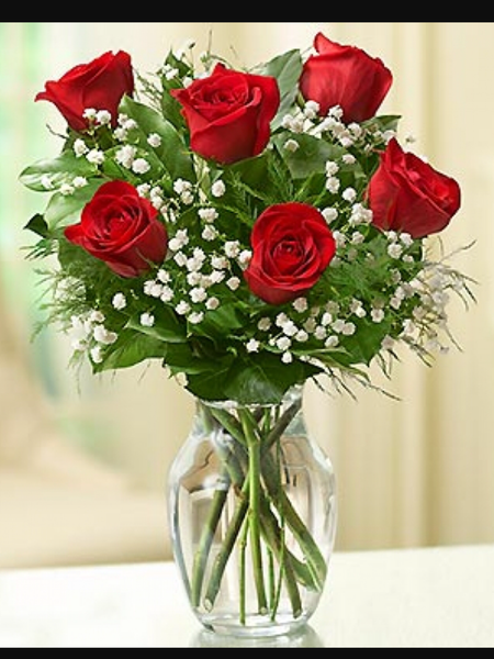 Love's Embrace 6 Red roses – Sunnybrook Flower Shop