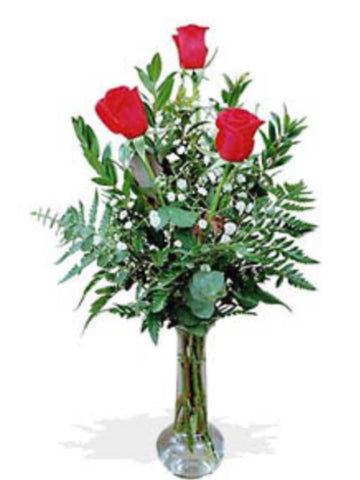 Three roses in vase