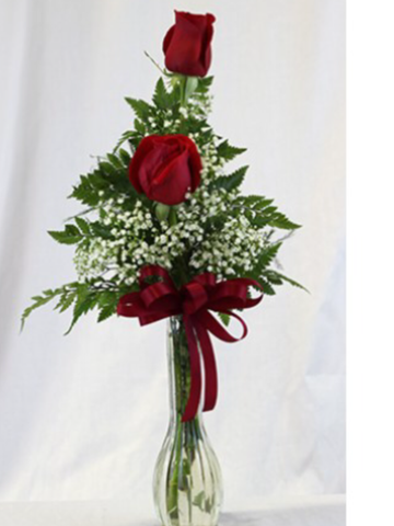 Two roses in vase