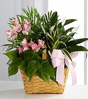 Dish Garden With Fresh Flowers