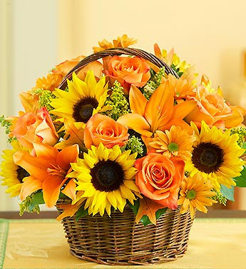 Basket of Fall Fields of Europe